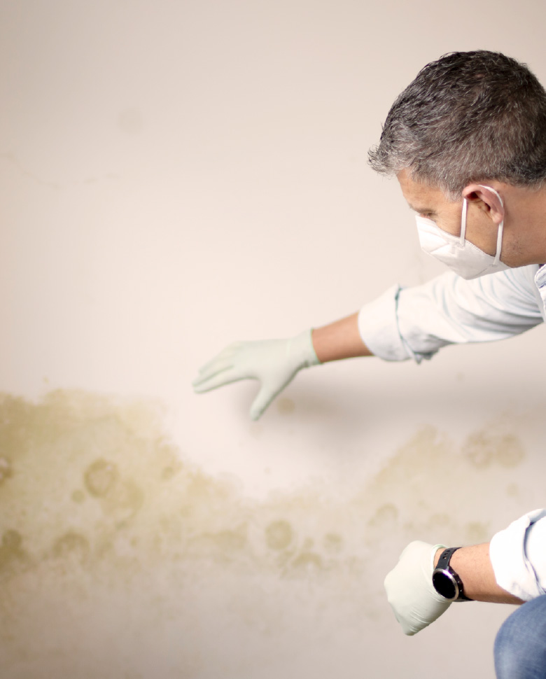 Mold Damage Lorenzana Law